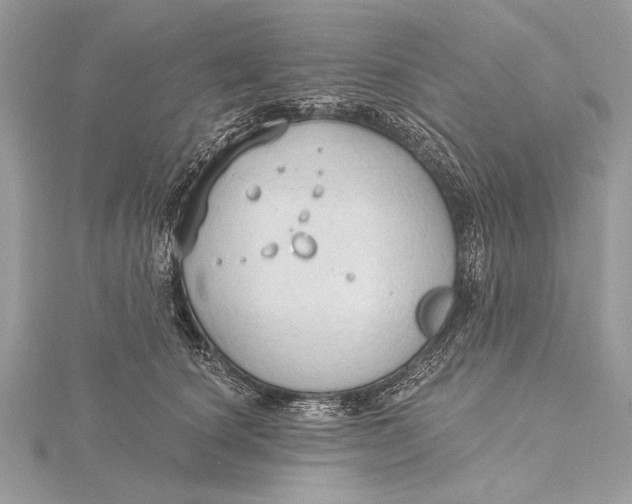 X0000115790660200912041514