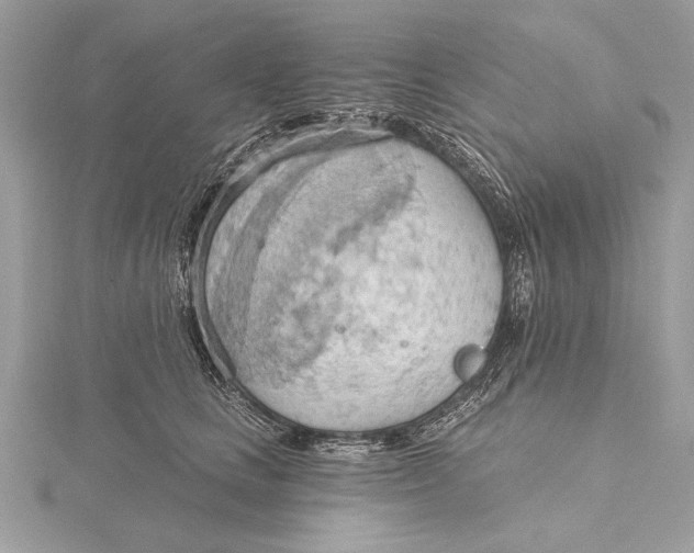 X0000115790661200912041514