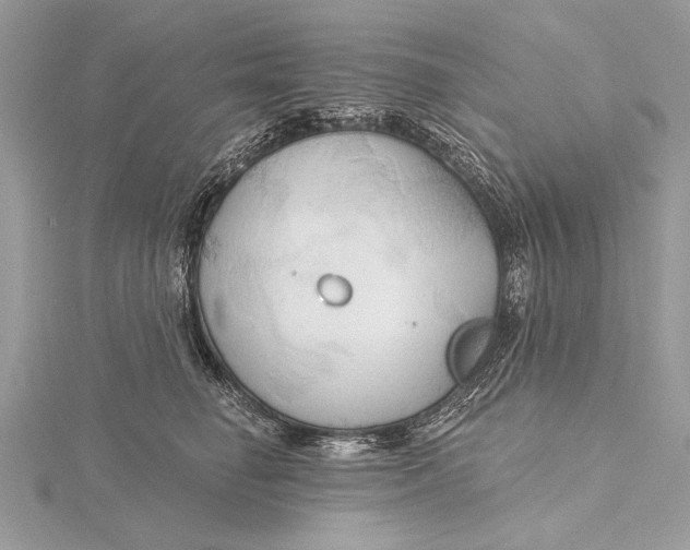 X0000115790662200912041514