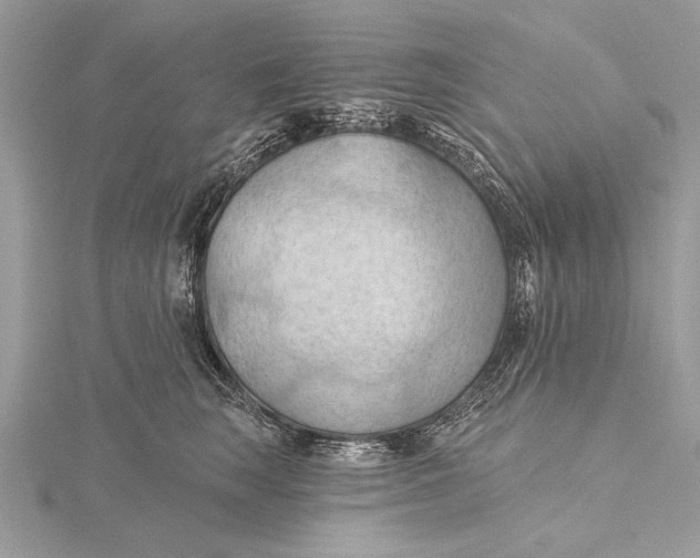 X0000115790663200912041514