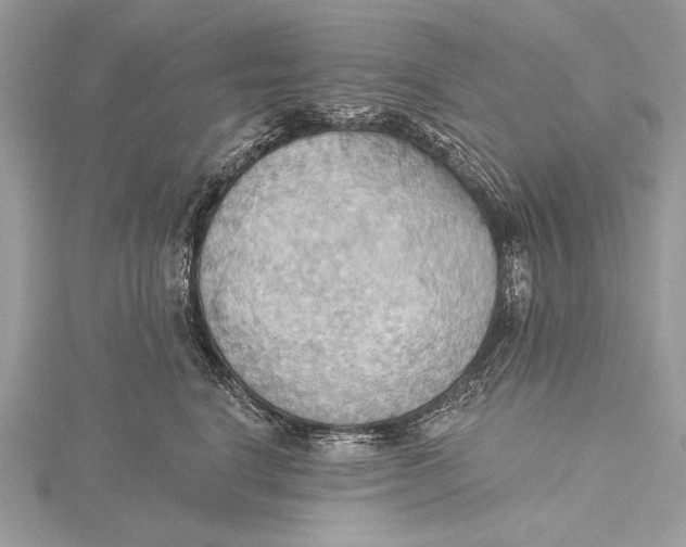 X0000115790664200912041514