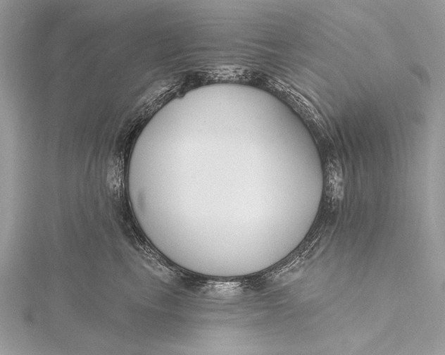 X0000115790665200912041514