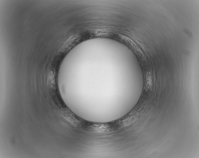 X0000115790667200912041514