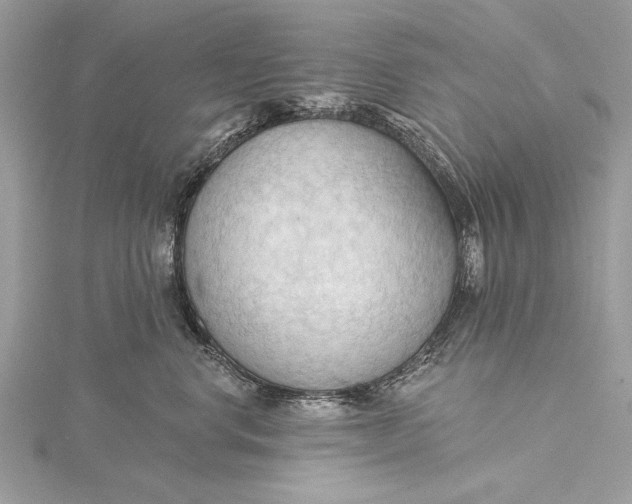 X0000115790668200912041514