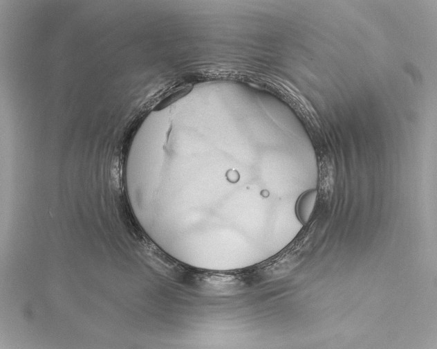 X0000115790669200912041514