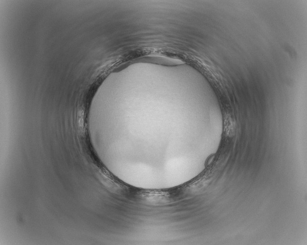 X0000115790670200912041514