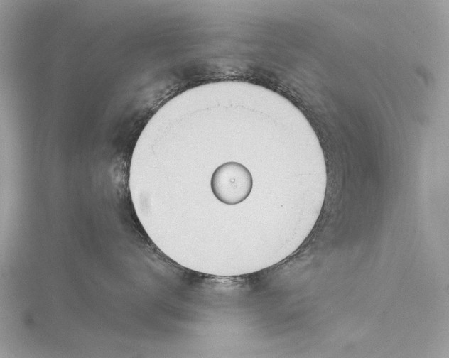 X0000115790672200912041514