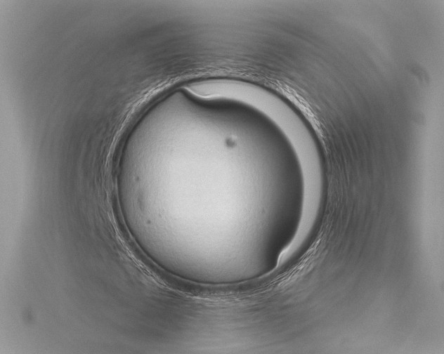 X0000115790673200912041513