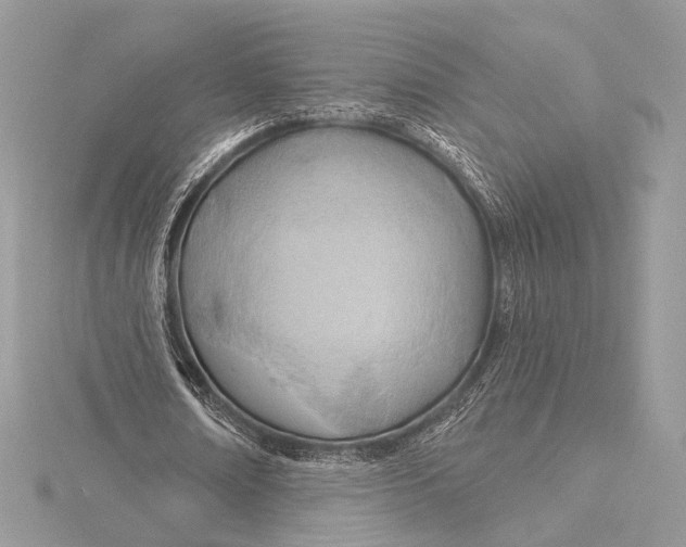 X0000115790674200912041513