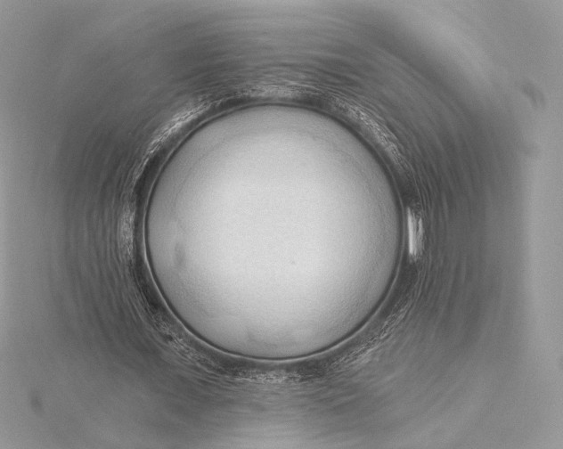 X0000115790675200912041513