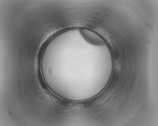 X0000115790676200912041513