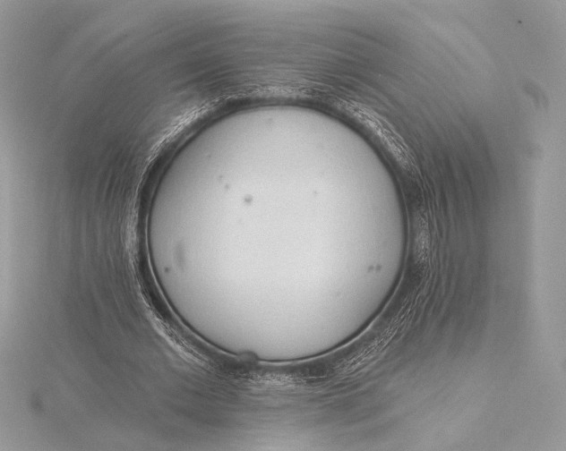 X0000115790677200912041513