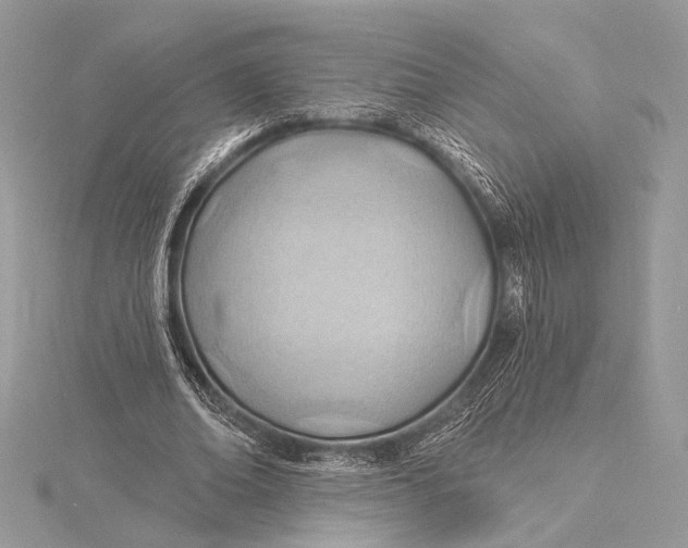 X0000115790678200912041513