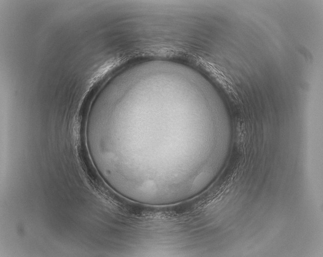 X0000115790679200912041513