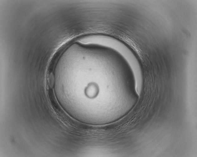 X0000115790680200912041513