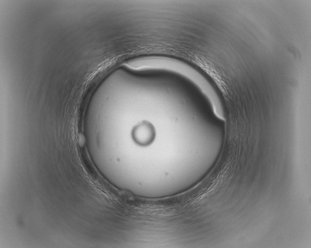 X0000115790681200912041513