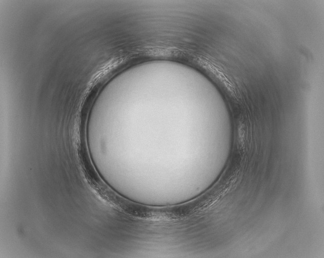 X0000115790682200912041513