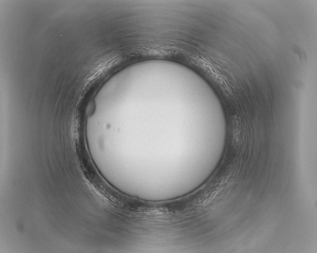 X0000115790683200912041513