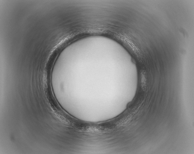 X0000115790684200912041513