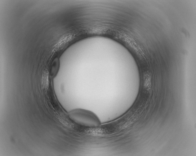 X0000115790685200912041513