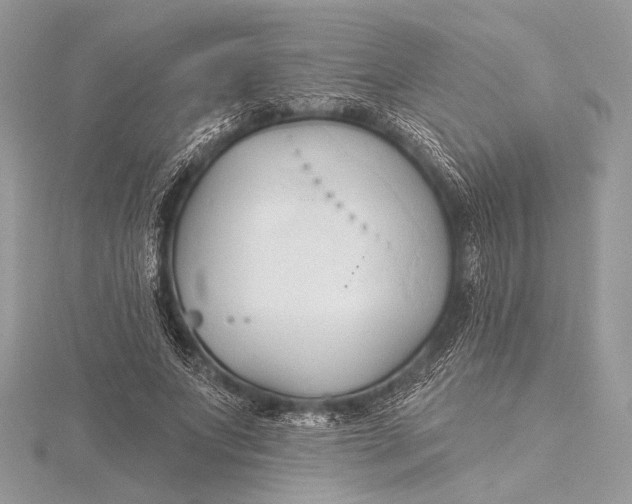 X0000115790687200912041513