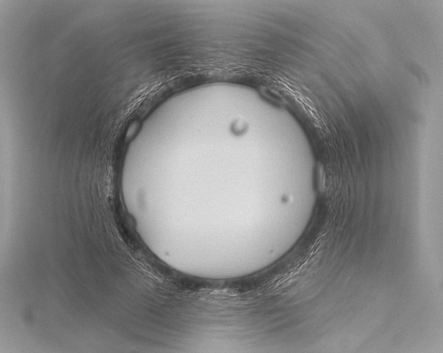 X0000115790689200912041513