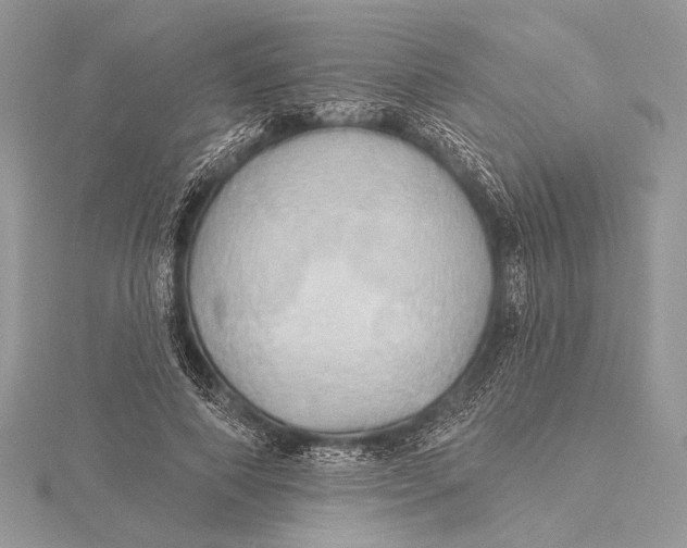 X0000115790690200912041513