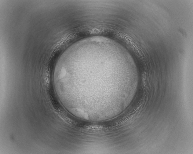 X0000115790691200912041513