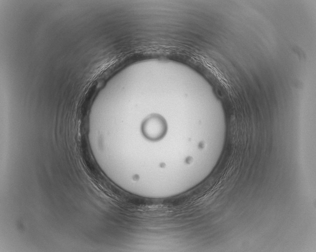 X0000115790692200912041513