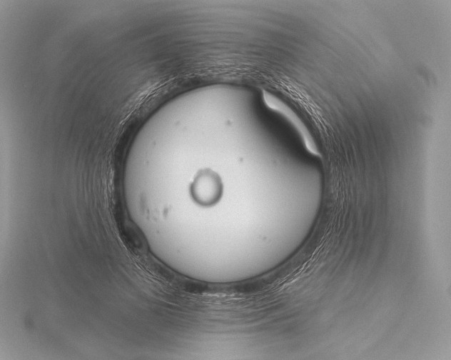 X0000115790693200912041513