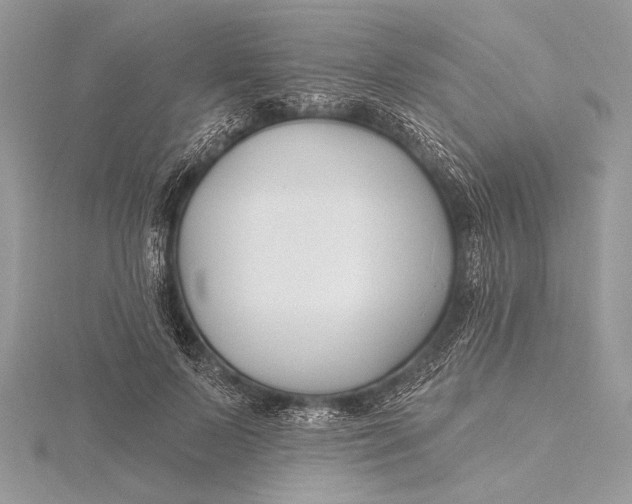 X0000115790695200912041513