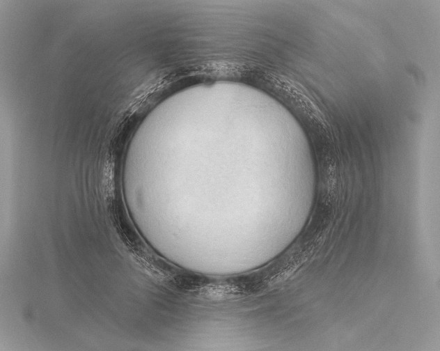 X0000115790696200912041513