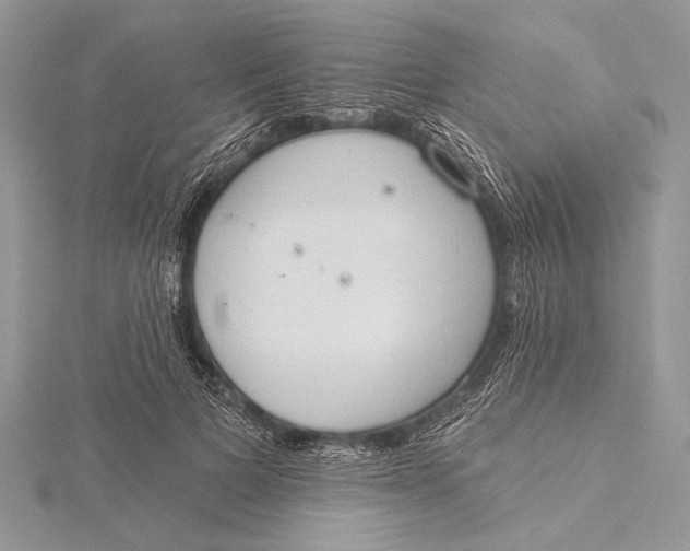 X0000115790697200912041513