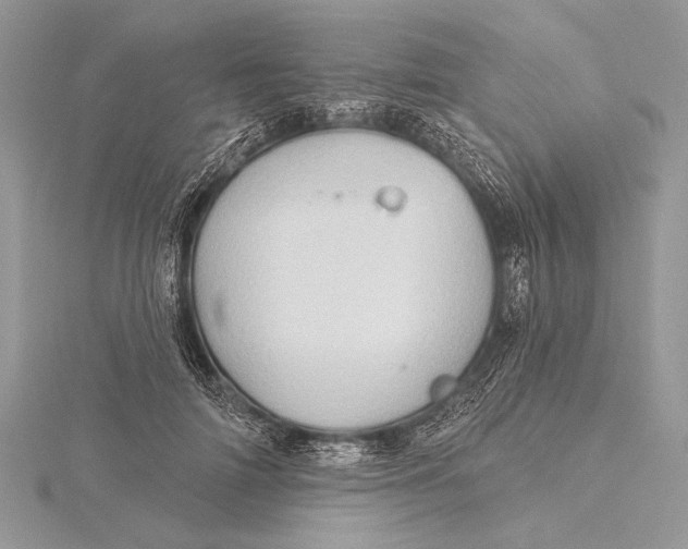 X0000115790698200912041513