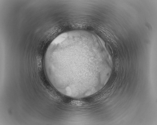 X0000115790699200912041513