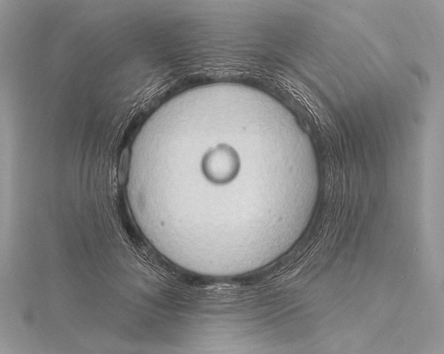 X0000115790700200912041513