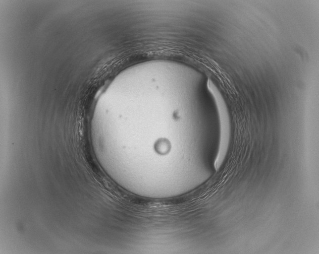 X0000115790701200912041513