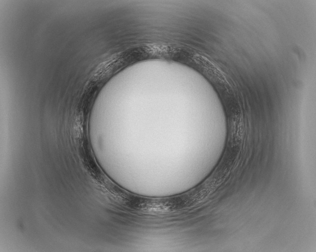 X0000115790702200912041513