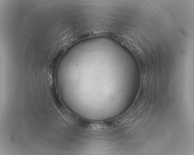 X0000115790703200912041513