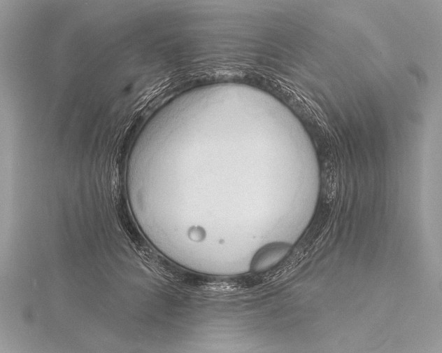 X0000115790704200912041513