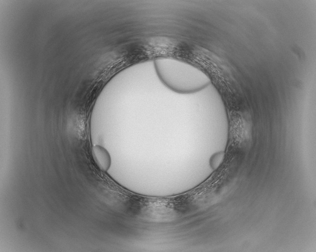 X0000115790709200912041513