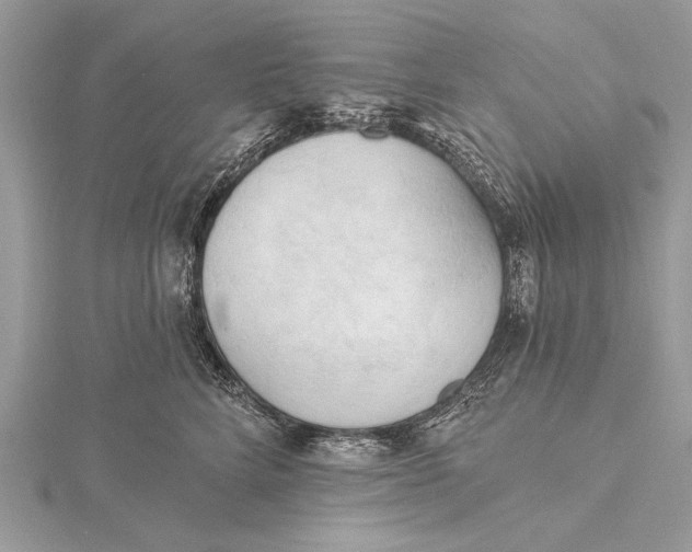 X0000115790712200912041513