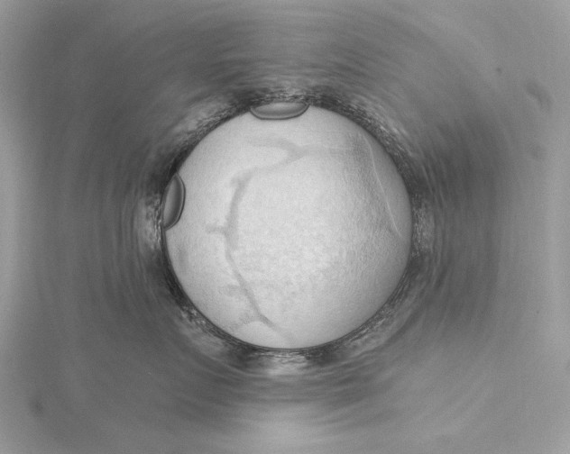 X0000115790719200912041513