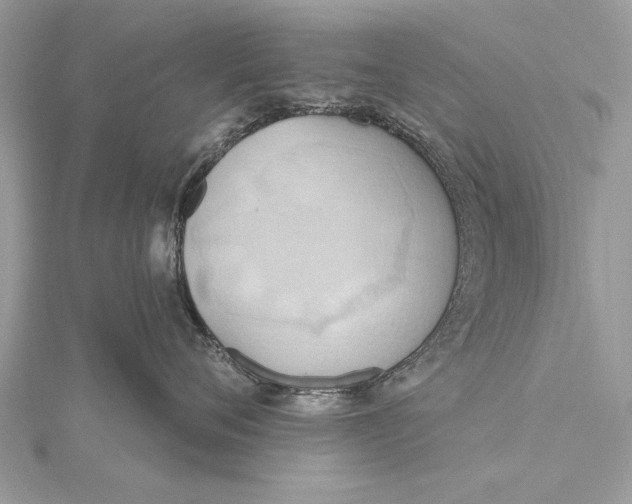 X0000115790720200912041512