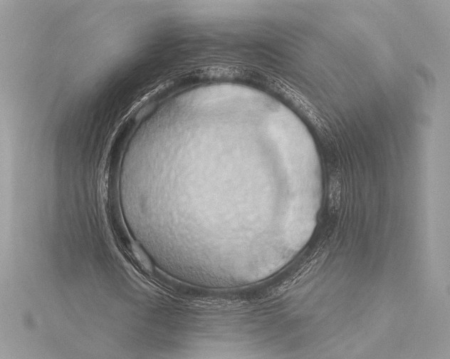 X0000115790722200912041512