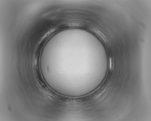 X0000115790723200912041512