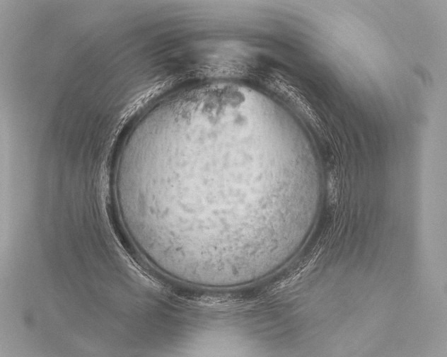 X0000115790725200912041512