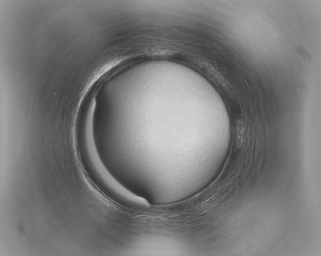 X0000115790726200912041512