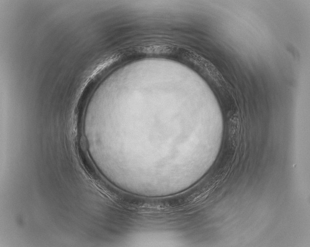 X0000115790727200912041512