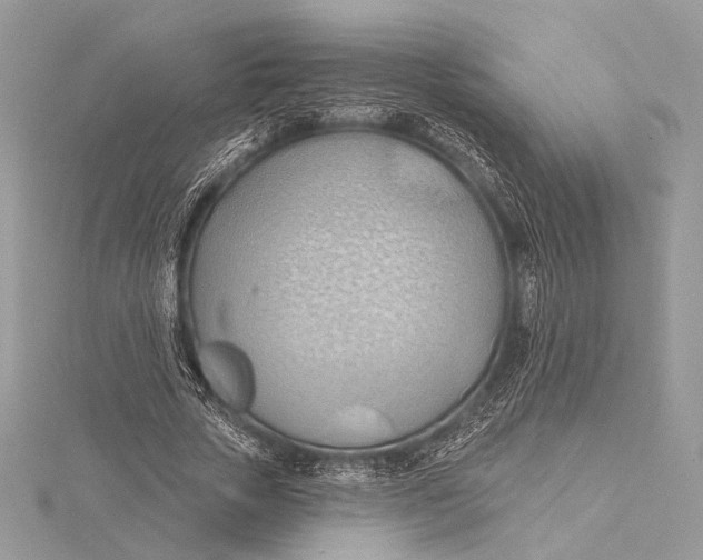 X0000115790729200912041512